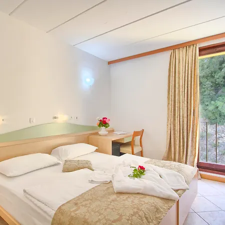 Mimosa - Lido Palace 호텔
