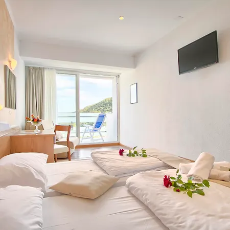 Mimosa - Lido Palace 라벡