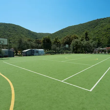 Mimosa - Lido Palace 4*