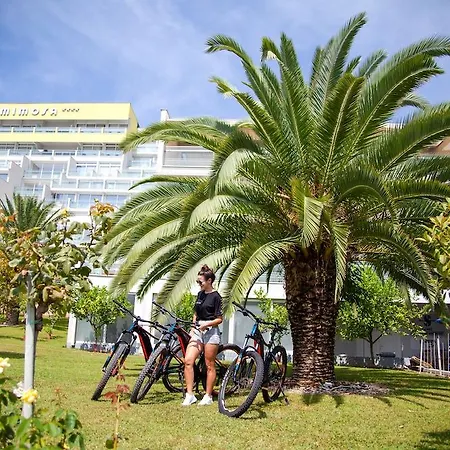 Otel Mimosa - Lido Palace 4*
