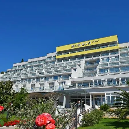 Mimosa - Lido Palace 라벡