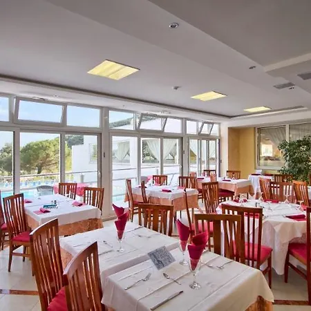Mimosa - Lido Palace