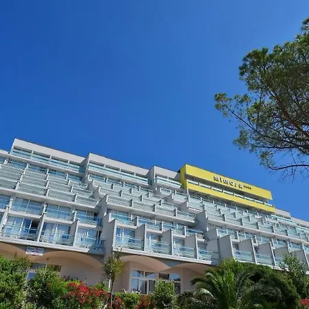 Mimosa - Lido Palace