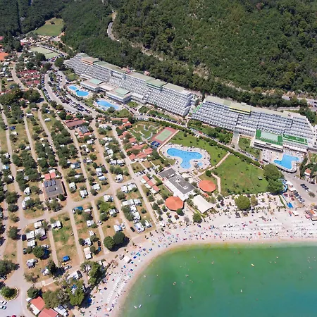 Mimosa - Lido Palace