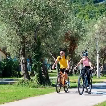 Mimosa 4* Rabac